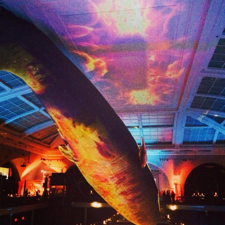 Video mapping detail